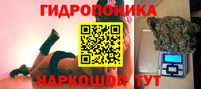 амф Майкоп
