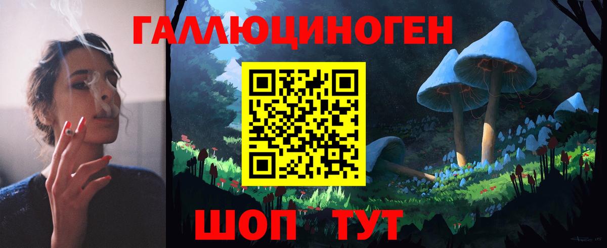 Галлюциногенные грибы Psilocybe Выкса